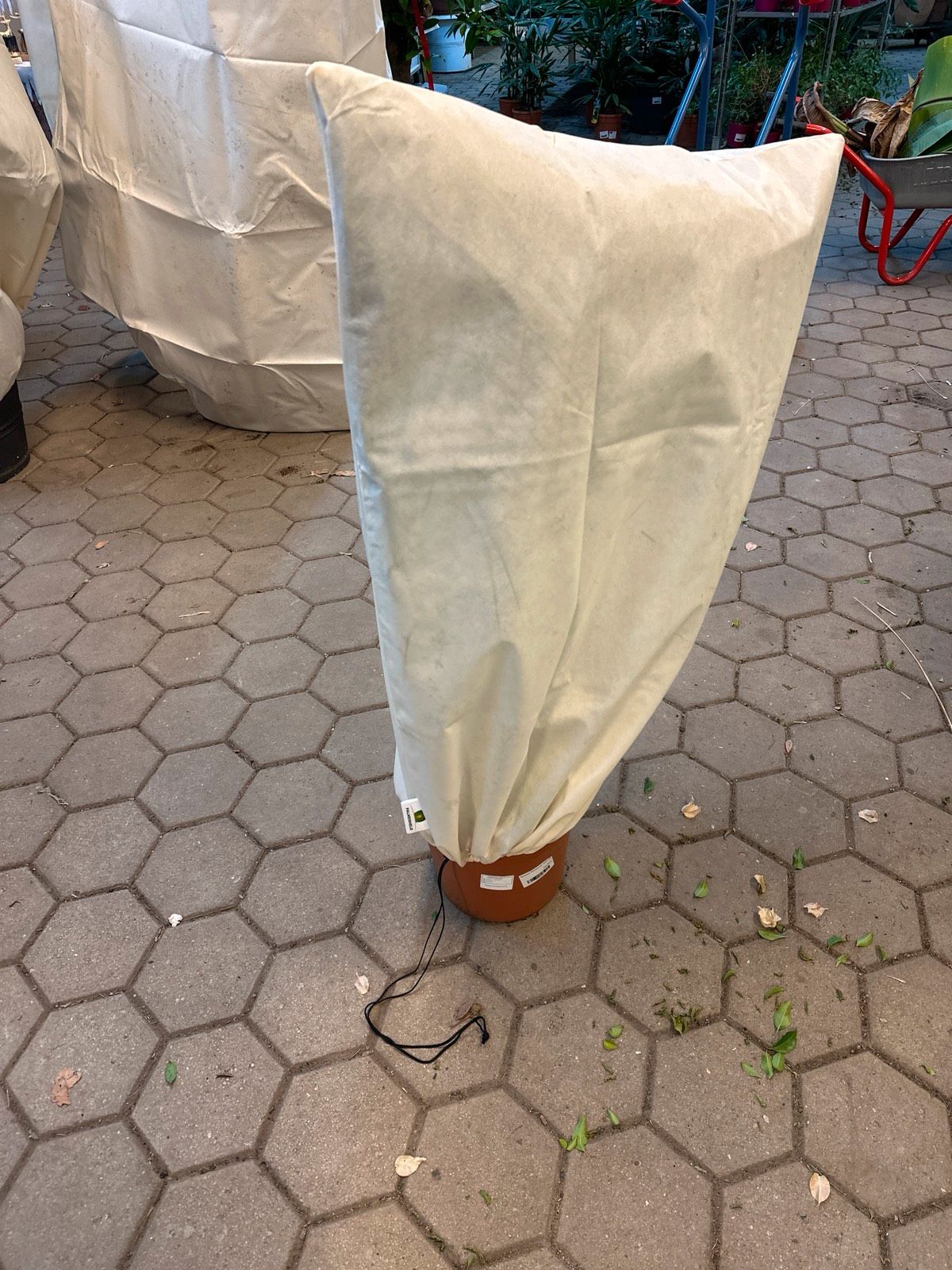 Winterschutz Pflanzenschutzhaube Pflanzensack Palme 100x80cmx80cm