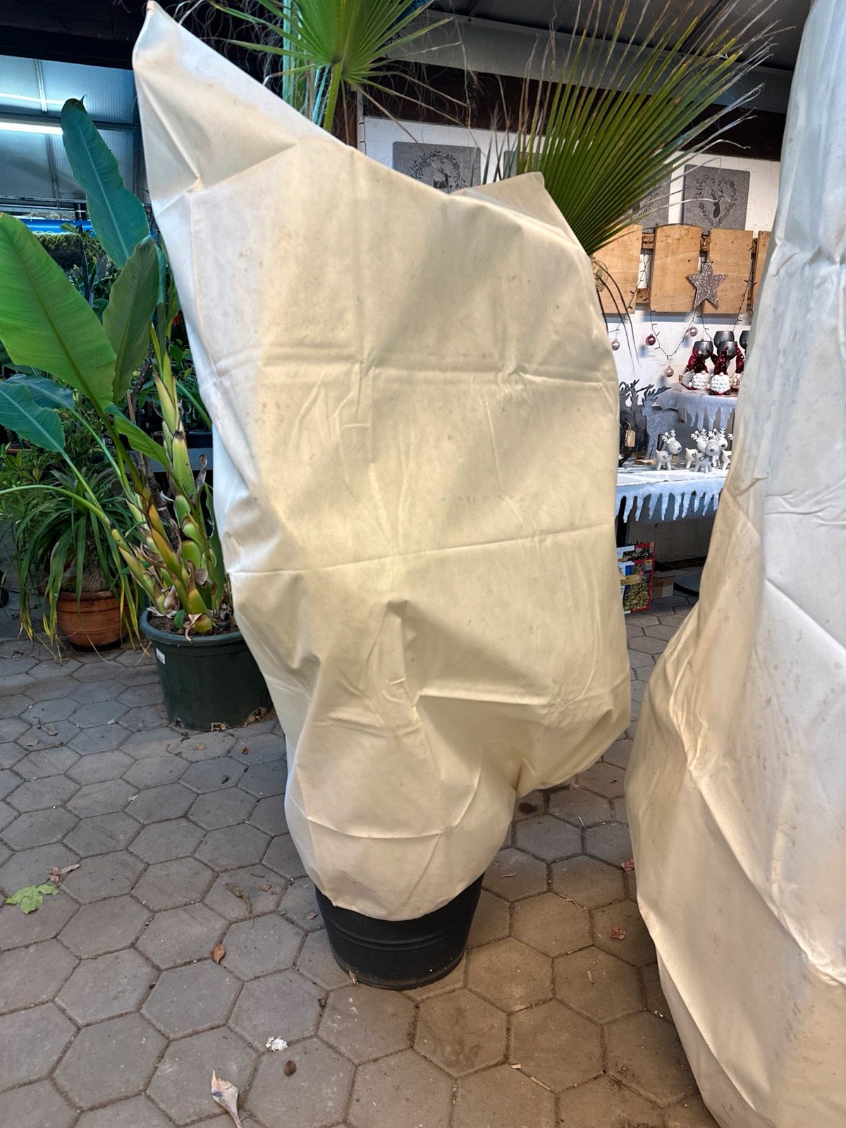 Winterschutz Pflanzenschutzhaube Pflanzensack Palme 180cmx120cmx120cm