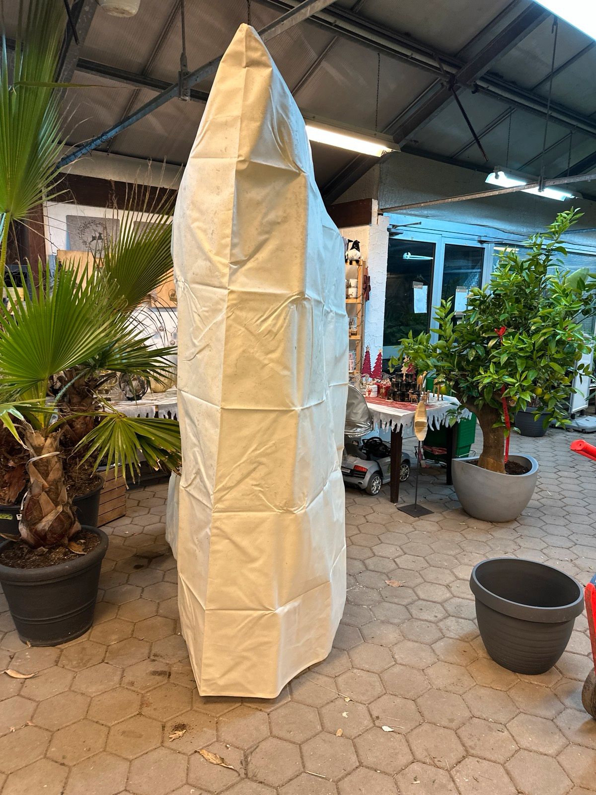 Winterschutz Pflanzenschutzhaube Pflanzensack Palme 240x200cmx200cm